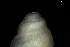  ( - 162005)  @11 [ ] Creative Commons BY NC SA (2025) University of Bergen Natural History Collections