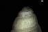  ( - 162005)  @11 [ ] Creative Commons BY NC SA (2025) University of Bergen Natural History Collections