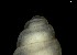  ( - 162025_01)  @11 [ ] Creative Commons BY NC SA (2024) University of Bergen Natural History Collections