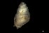  ( - 162025_01)  @11 [ ] Creative Commons BY NC SA (2024) University of Bergen Natural History Collections