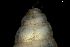  ( - 162025_01)  @11 [ ] Creative Commons BY NC SA (2024) University of Bergen Natural History Collections