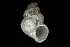  ( - 162047_01)  @11 [ ] Creative Commons BY NC SA (2025) University of Bergen Natural History Collections