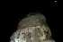  ( - 162047_01)  @11 [ ] Creative Commons BY NC SA (2025) University of Bergen Natural History Collections