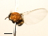  ( - SIM-CANADA-505)  @12 [ ] CreativeCommons - Attribution (2009) Unspecified Centre for Biodiversity Genomics