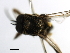  ( - SIM-CANADA-565)  @12 [ ] CreativeCommons - Attribution (2009) Unspecified Centre for Biodiversity Genomics