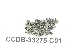 ( - CCDB-33275-C01)  @11 [ ] CreativeCommons - Attribution (2019) Centre for Biodiversity Genomics Centre for Biodiversity Genomics