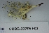  ( - CCDB-33275-F03)  @11 [ ] CreativeCommons - Attribution (2019) Centre for Biodiversity Genomics Centre for Biodiversity Genomics