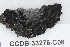  ( - CCDB-33276-C06)  @11 [ ] CreativeCommons - Attribution (2019) Centre for Biodiversity Genomics Centre for Biodiversity Genomics
