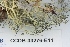  ( - CCDB-33276-E11)  @11 [ ] CreativeCommons - Attribution (2019) Centre for Biodiversity Genomics Centre for Biodiversity Genomics