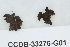  ( - CCDB-33276-G01)  @11 [ ] CreativeCommons - Attribution (2019) Centre for Biodiversity Genomics Centre for Biodiversity Genomics