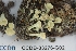  ( - CCDB-33276-G02)  @11 [ ] CreativeCommons - Attribution (2019) Centre for Biodiversity Genomics Centre for Biodiversity Genomics