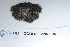  ( - CCDB-33276-G04)  @11 [ ] CreativeCommons - Attribution (2019) Centre for Biodiversity Genomics Centre for Biodiversity Genomics