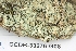  ( - CCDB-33276-G08)  @11 [ ] CreativeCommons - Attribution (2019) Centre for Biodiversity Genomics Centre for Biodiversity Genomics