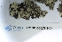  ( - CCDB-33276-H04)  @11 [ ] CreativeCommons - Attribution (2019) Centre for Biodiversity Genomics Centre for Biodiversity Genomics