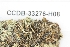 ( - CCDB-33276-H08)  @11 [ ] CreativeCommons - Attribution (2019) Centre for Biodiversity Genomics Centre for Biodiversity Genomics
