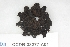  ( - CCDB-33277-A01)  @11 [ ] CreativeCommons - Attribution (2019) Centre for Biodiversity Genomics Centre for Biodiversity Genomics