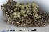  ( - CCDB-33277-A05)  @11 [ ] CreativeCommons - Attribution (2019) Centre for Biodiversity Genomics Centre for Biodiversity Genomics