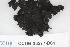  ( - CCDB-33277-D01)  @11 [ ] CreativeCommons - Attribution (2019) Centre for Biodiversity Genomics Centre for Biodiversity Genomics