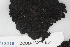  ( - CCDB-33277-E01)  @11 [ ] CreativeCommons - Attribution (2019) Centre for Biodiversity Genomics Centre for Biodiversity Genomics