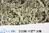  ( - CCDB-33277-G09)  @11 [ ] CreativeCommons - Attribution (2019) Centre for Biodiversity Genomics Centre for Biodiversity Genomics
