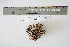  ( - CCDB-42523-A03)  @11 [ ] CreativeCommons - Attribution Non-Commercial Share-Alike (2022) Canadian Museum of Nature Canadian Museum of Nature