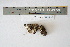  ( - CCDB-42523-D03)  @11 [ ] CreativeCommons - Attribution Non-Commercial Share-Alike (2022) Canadian Museum of Nature Canadian Museum of Nature