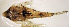  ( - STJ2621d205)  @11 [ ] by-nc-sa (2021) Benjamin Victor Benjamin Victor