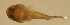  ( - baj8910ga83)  @12 [ ] CreativeCommons - Attribution Non-Commercial Share-Alike (2012) Benjamin Victor Benjamin Victor