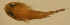  ( - baj8910ga87)  @13 [ ] CreativeCommons - Attribution Non-Commercial Share-Alike (2012) Benjamin Victor Benjamin Victor