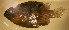  ( - baj98315sr159)  @12 [ ] CreativeCommons - Attribution Non-Commercial Share-Alike (2012) Benjamin Victor Benjamin Victor