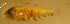  ( - bal11400hm106)  @12 [ ] CreativeCommons - Attribution Non-Commercial Share-Alike (2012) Benjamin Victor Benjamin Victor