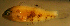  ( - bal11400hm200)  @12 [ ] CreativeCommons - Attribution Non-Commercial Share-Alike (2012) Benjamin Victor Benjamin Victor
