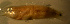  ( - bal11600lx290)  @12 [ ] CreativeCommons - Attribution Non-Commercial Share-Alike (2012) Benjamin Victor Benjamin Victor