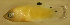  ( - bal11700h114)  @12 [ ] CreativeCommons - Attribution Non-Commercial Share-Alike (2012) Benjamin Victor Benjamin Victor