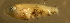  ( - bal11800hm111)  @12 [ ] CreativeCommons - Attribution Non-Commercial Share-Alike (2012) Benjamin Victor Benjamin Victor