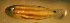  ( - bal11800hp118)  @12 [ ] CreativeCommons - Attribution Non-Commercial Share-Alike (2012) Benjamin Victor Benjamin Victor