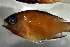  ( - bal11800jcl220)  @12 [ ] CreativeCommons - Attribution Non-Commercial Share-Alike (2014) Benjamin Victor Benjamin Victor
