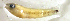  ( - bal11800plx134)  @12 [ ] CreativeCommons - Attribution Non-Commercial Share-Alike (2014) Benjamin Victor Benjamin Victor