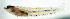  ( - bz16237)  @11 [ ] CreativeCommons - Attribution Non-Commercial Share-Alike (2020) Benjamin Victor Benjamin Victor