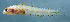  ( - bz16884)  @11 [ ] CreativeCommons - Attribution Non-Commercial Share-Alike (2020) Benjamin Victor Benjamin Victor
