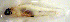  ( - c14ch175)  @12 [ ] CreativeCommons - Attribution Non-Commercial Share-Alike (2014) Benjamin Victor Benjamin Victor