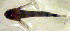  ( - c14eb112)  @12 [ ] CreativeCommons - Attribution Non-Commercial Share-Alike (2014) Benjamin Victor Benjamin Victor