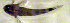  ( - c14eb151)  @12 [ ] CreativeCommons - Attribution Non-Commercial Share-Alike (2014) Benjamin Victor Benjamin Victor