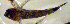  ( - c14eb169)  @12 [ ] CreativeCommons - Attribution Non-Commercial Share-Alike (2014) Benjamin Victor Benjamin Victor