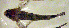  ( - c14eb170)  @12 [ ] CreativeCommons - Attribution Non-Commercial Share-Alike (2014) Benjamin Victor Benjamin Victor