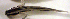  ( - c14ec204)  @13 [ ] CreativeCommons - Attribution Non-Commercial Share-Alike (2014) Benjamin Victor Benjamin Victor