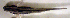  ( - c14ec210)  @12 [ ] CreativeCommons - Attribution Non-Commercial Share-Alike (2014) Benjamin Victor Benjamin Victor