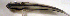  ( - c14ec244)  @12 [ ] CreativeCommons - Attribution Non-Commercial Share-Alike (2014) Benjamin Victor Benjamin Victor
