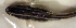 ( - c14el279)  @12 [ ] CreativeCommons - Attribution Non-Commercial Share-Alike (2014) Benjamin Victor Benjamin Victor