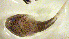  ( - c14gp154)  @12 [ ] CreativeCommons - Attribution Non-Commercial Share-Alike (2014) Benjamin Victor Benjamin Victor
